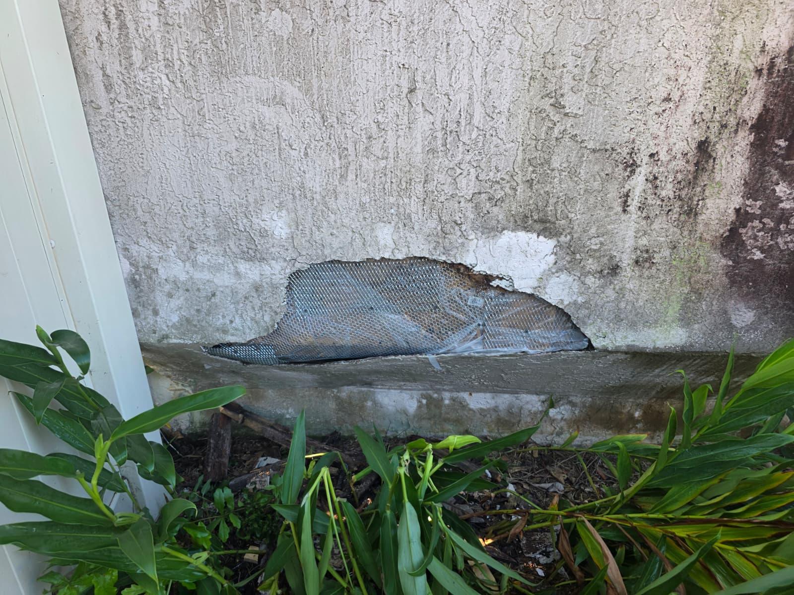 Exterior Repaint, Stucco Repairs and Siding Replacement