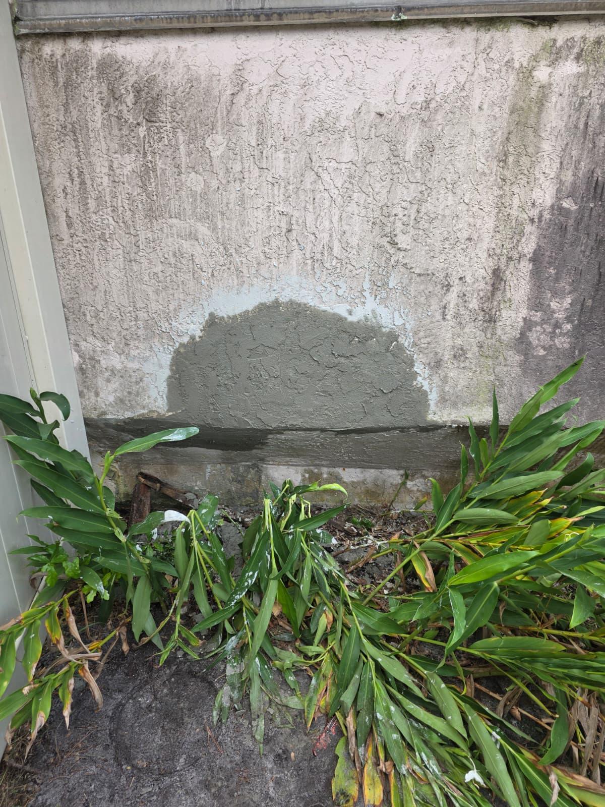 Exterior Repaint, Stucco Repairs and Siding Replacement