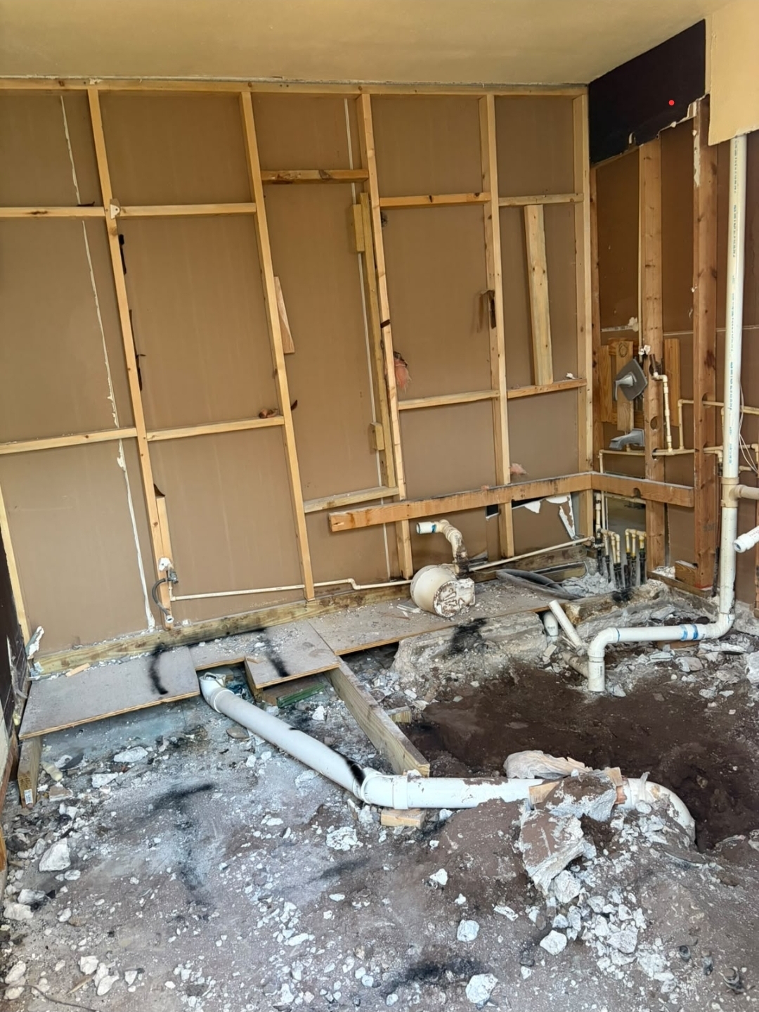 Whole-Home Interior Renovation, Ocoee
