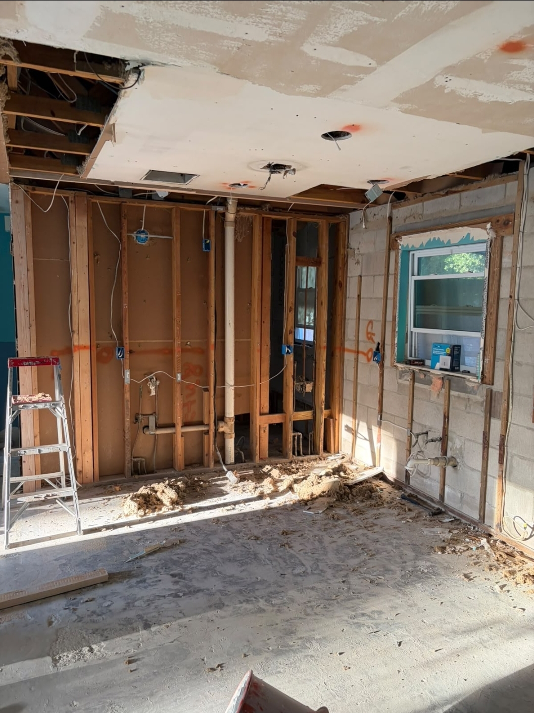 Whole-Home Interior Renovation, Ocoee